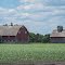 Country Farm
