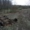 car wreckage near Field #1