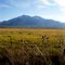Taos, NM Field