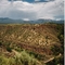 Rio Grande Gorge