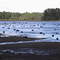Lake Shelby drained for Hurricane Ivan