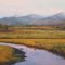 McKenzie Range near Saranac Lake, NY oct 1987