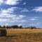 Hay rolls, Gabriels, NY, Sep, 1989