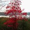 Jones Pond, Gabriels, NY, oct 6, 2007