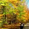 Forest Home Rd, Saranac Lake, NY, oct 17, 2012.