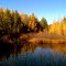 Jones Pond Outlet, oct 18, 2012
