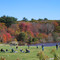 fall soccer in gloucester