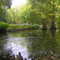 Swan Lake Iris Garden
