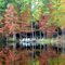 Black Swamp