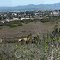 View from Orcutt Trails, looking North to East