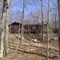 Woodchuck's home