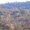 Hillside