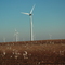 Wind Farm near Snyder