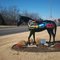 Sonic Horse