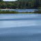 The island in Silver Lake