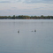 May 2005 - Plymouth, Minnesota. Canada Geese on Medicine Lake.