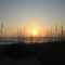 Sunset Longboat Key