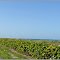 Longboat Key - Florida - USA