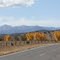 Fall colors west of Lincoln, NM