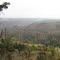 Forest Service Ridge