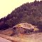 Billy the Kid's Rock