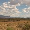 West of Lincoln, New Mexico.