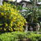 SEA ISLAND