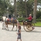 4th July Parade