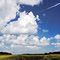 Salt Marsh Creek