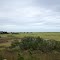 Sea Palms Marsh