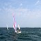 Shell Lake Regatta