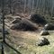 clearing new 1 acre west pasture
