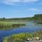 Bear Creek above Bear Lake, Washburn County