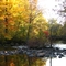 Fall at South Jordan Park