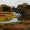 Laguna de Santa Rosa (looking south)