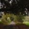 Sebastopol, CA , USA