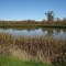 Laguna de Santa Rosa Regional Trail 7
