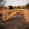 2006_03_Oklahoma Route 66_1928-1960