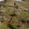 Carbonate