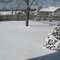 backyard winter peace