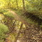 A Creek Runs Through It