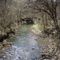 Wild Horse Creek