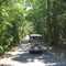 Through the maritime forest on Federal Road, BHI