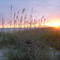 Oak Island Sunset