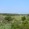 Davis Creek at Oak Island looking East