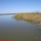 Suisun Marsh