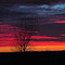 Sioux City Sunset