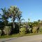 Near Homestead, Florida