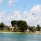 Vultures!, Tiñosas  in Leisure Lake Park.