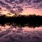 Florida Everglades